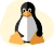 Get your Linux VPS