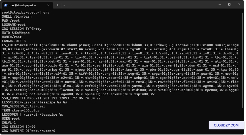 Checking Environment Variables