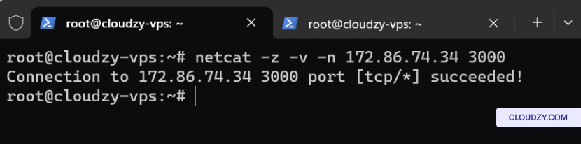 Scanning a Single Port Example