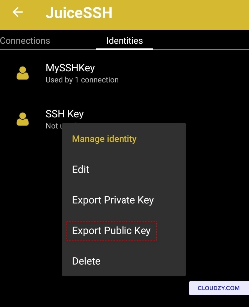 Export Public Key