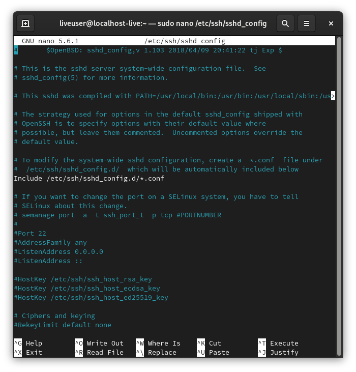 [nano editor on Linux Terminal displaying the SSH config file]