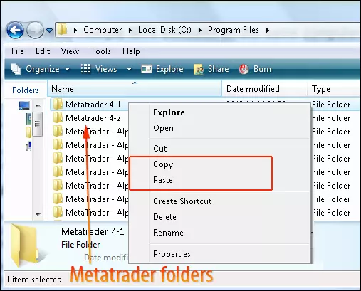 rename the metatrader folder