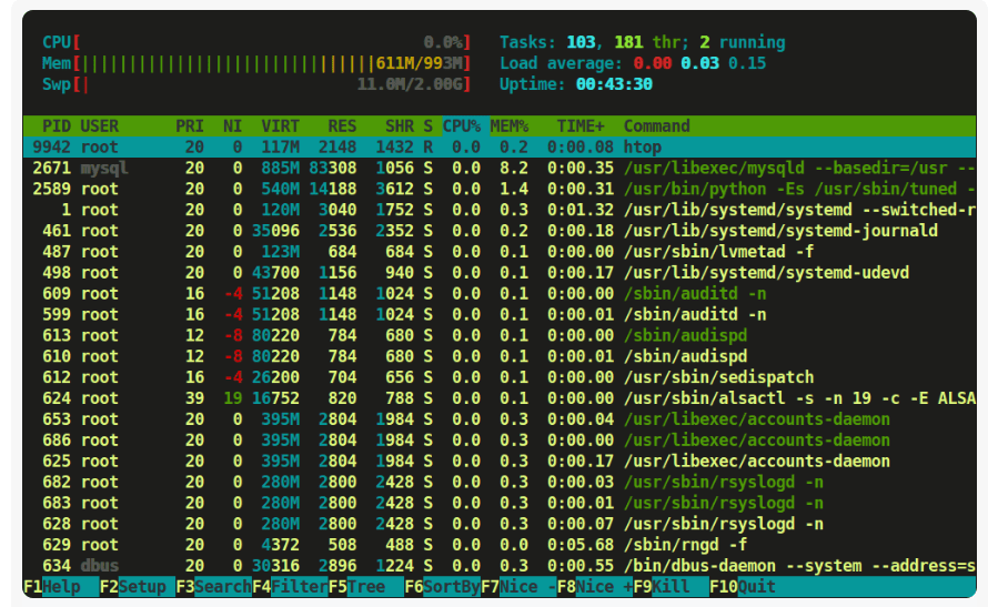 htop command screenshot