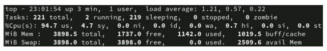 screen shot of linux top command result