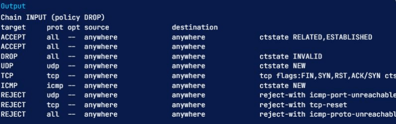 output of iptables show rules limited to INPUT chain