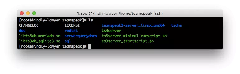 setup teamspeak on centos