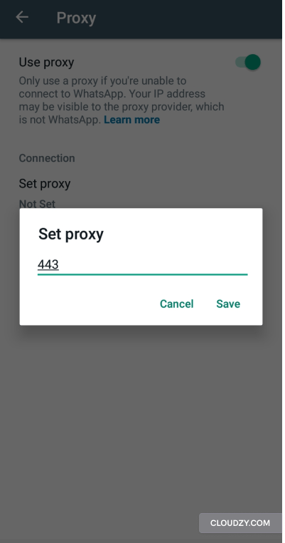 whatsapp proxy port